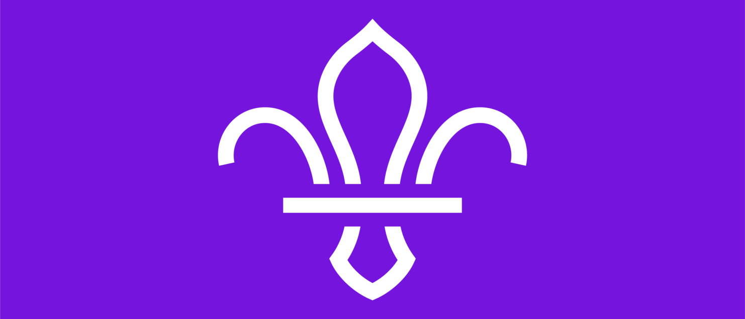 fleur de lis logo with purple background