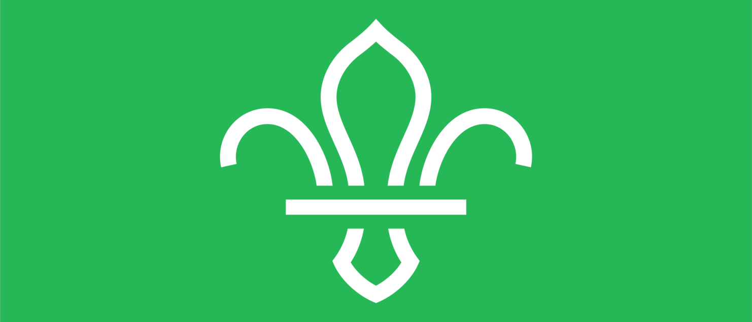 fleur de lis logo with green background