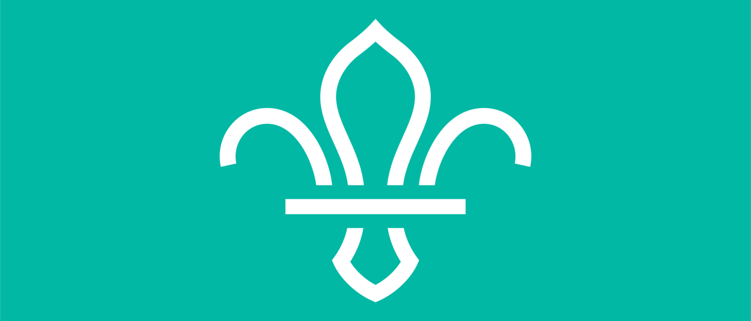 fleur de lis logo with turquoise background