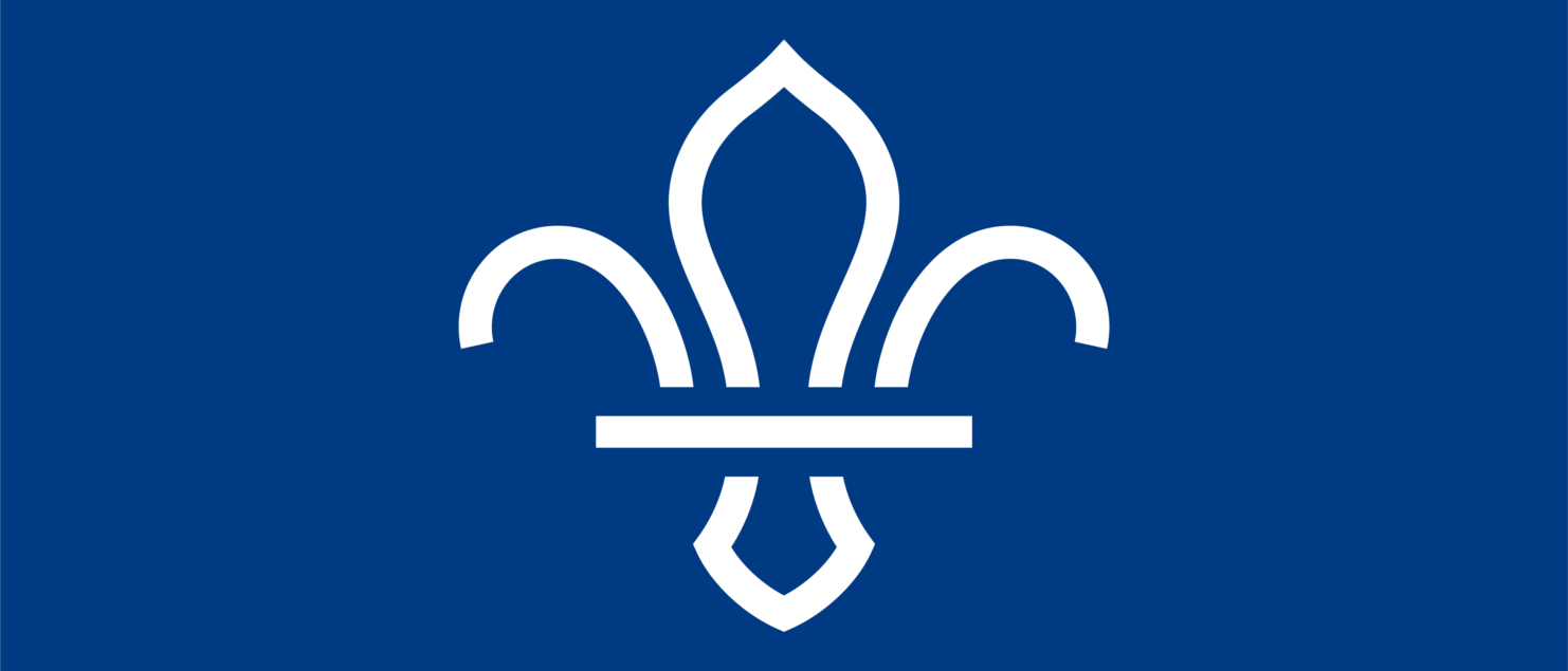 fleur de lis logo with navy blue background