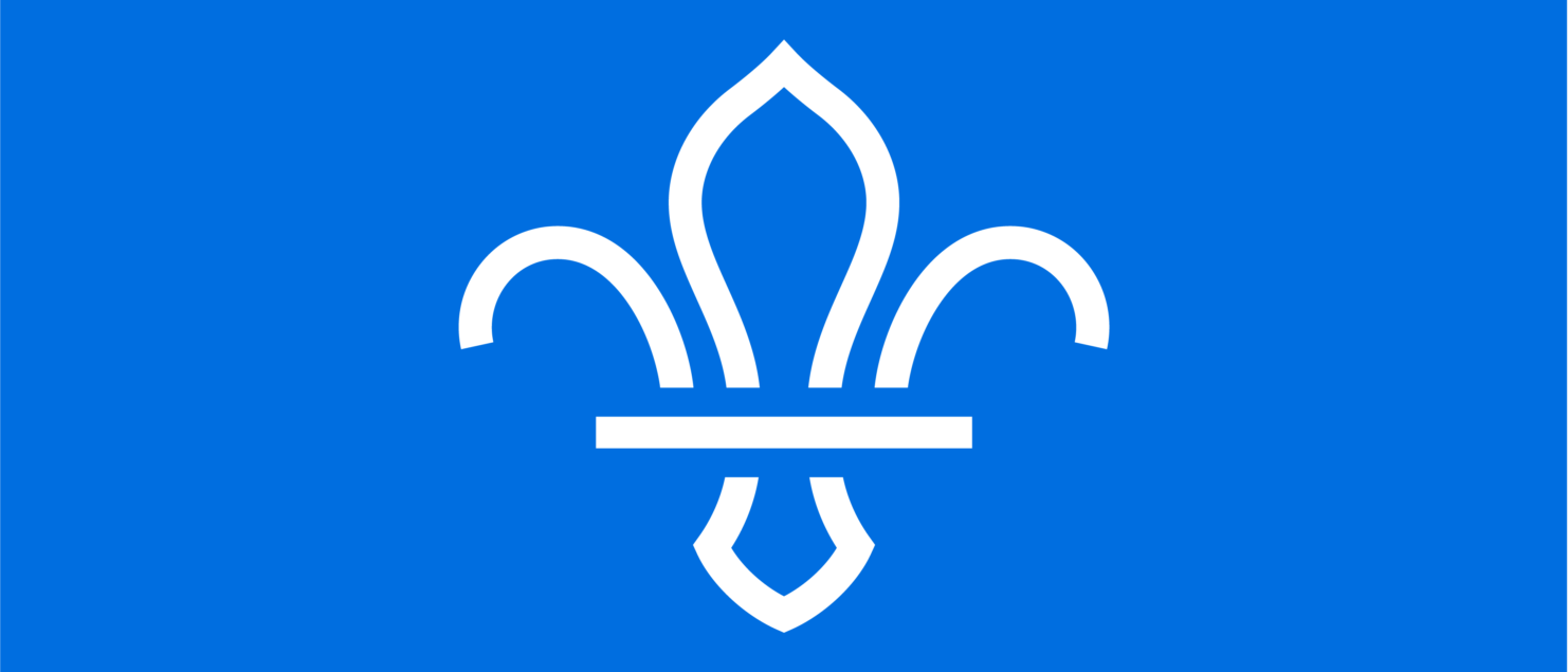 fleur de lis logo with blue background